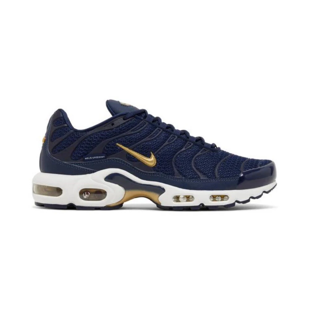 Nike Air Max TN Blue Gold
